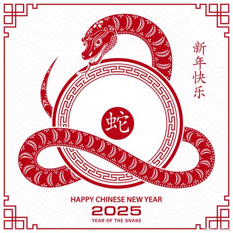 2025年是什么生肖|2025年出生的属什么,2025年是什么生肖